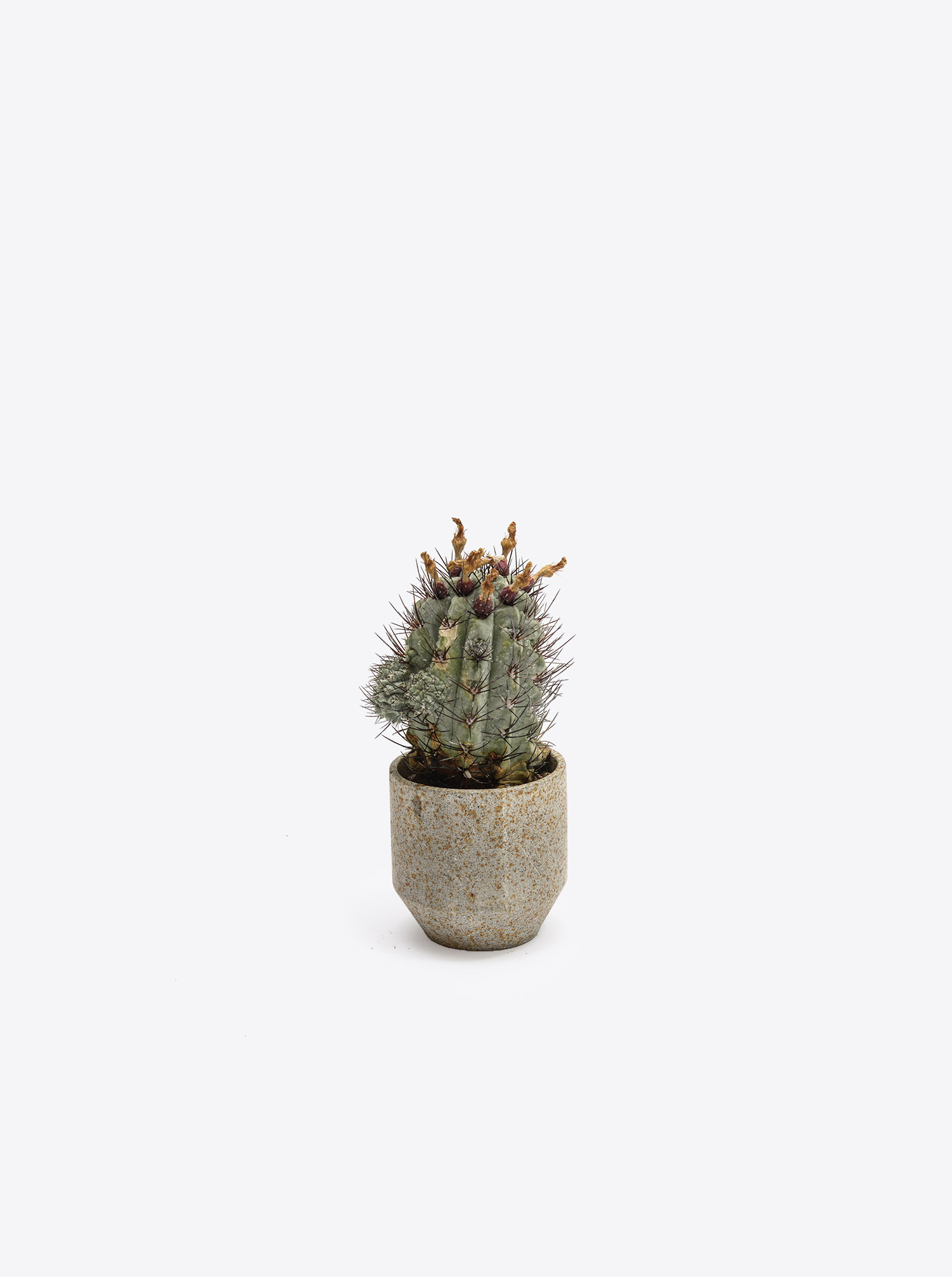 Mini Pot grey