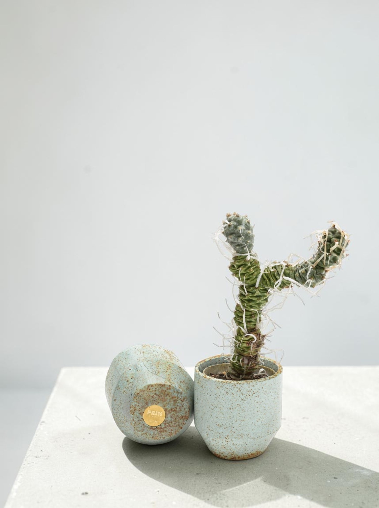 Mini Pot mint turquoise
