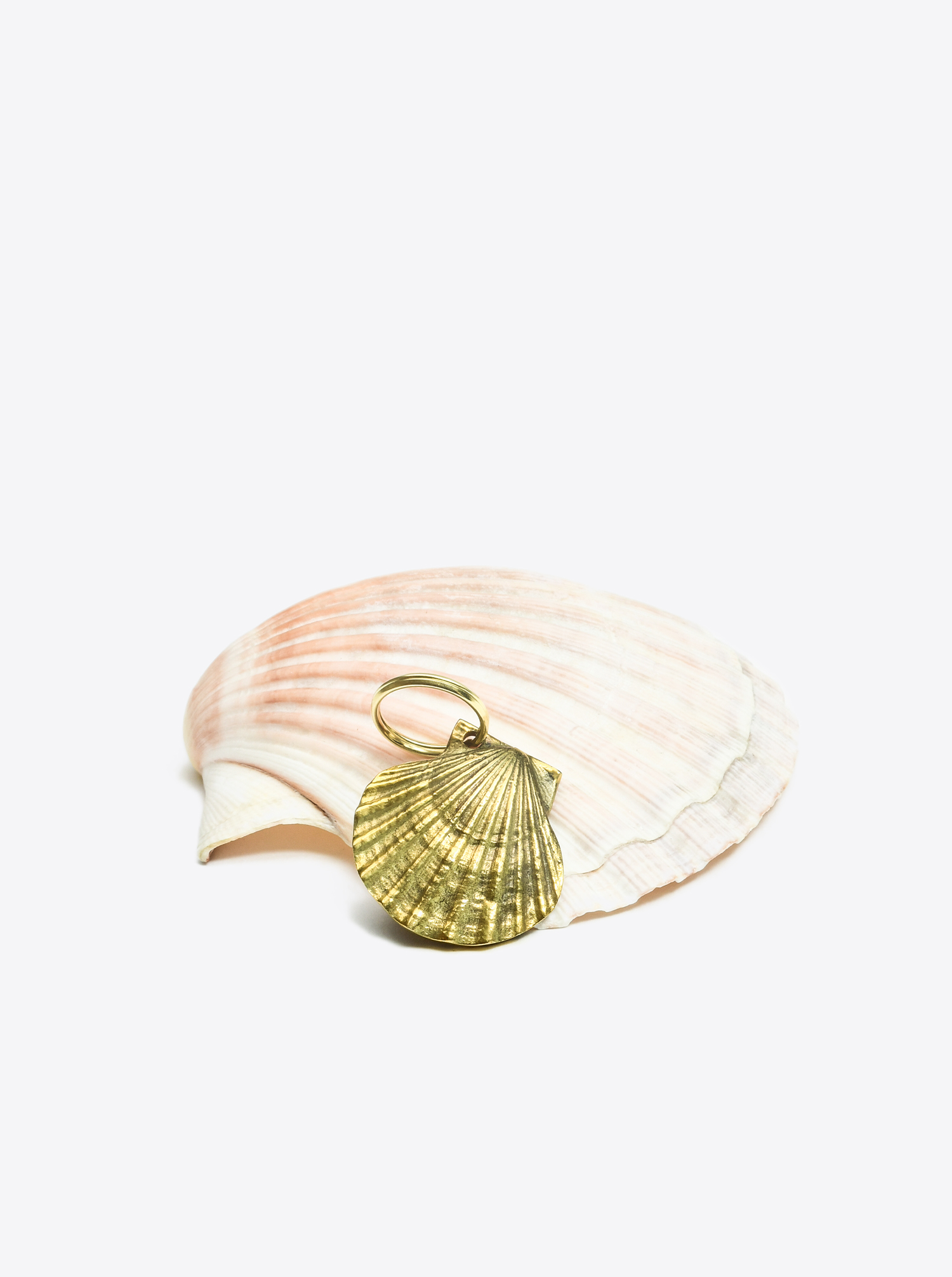 Key Chain Shell &quot;Venus&quot; Brass