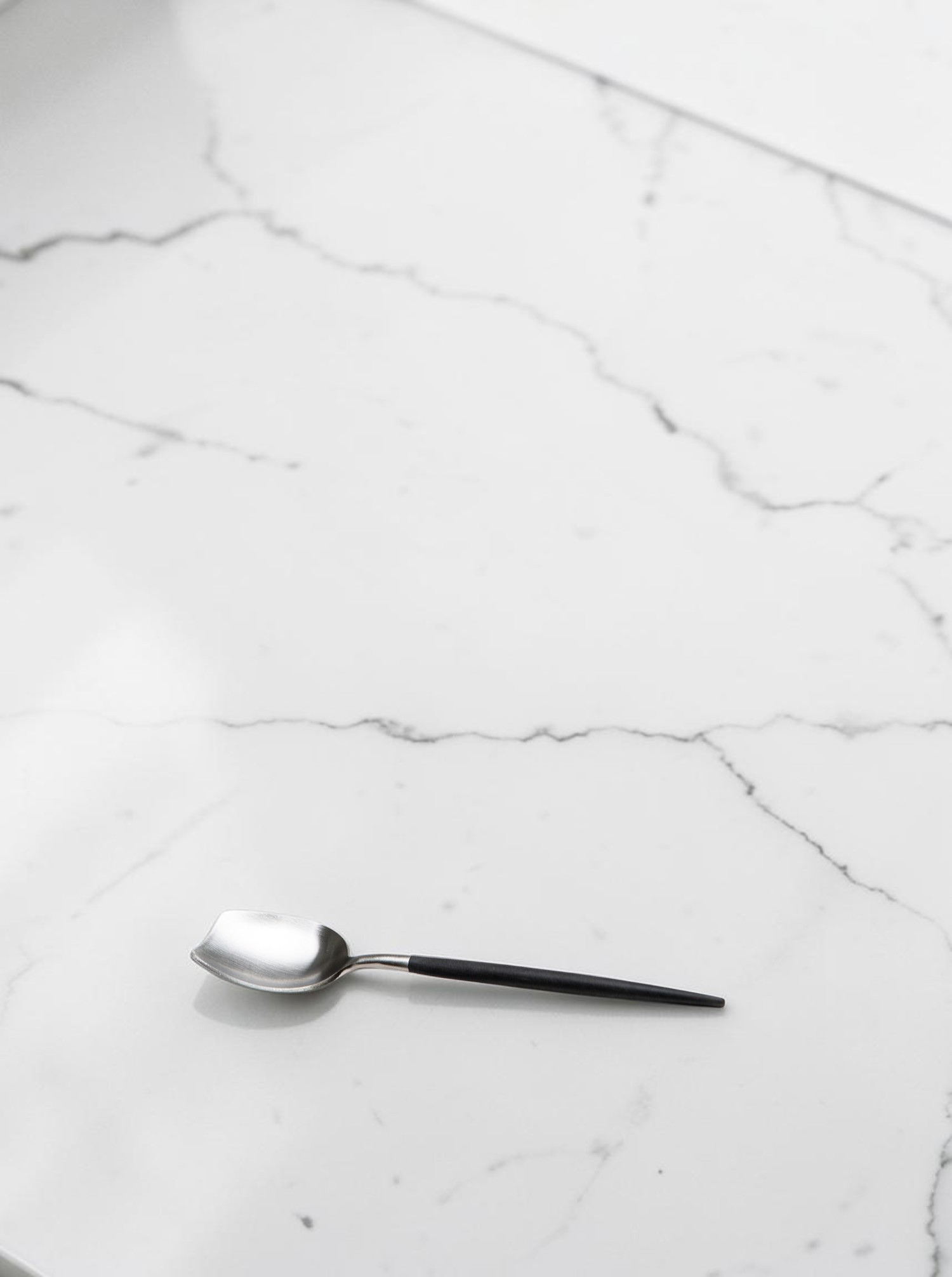 Sugar Spoon "Goa" steel