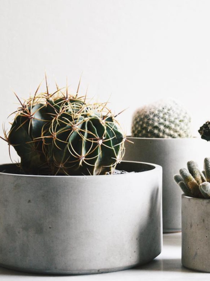 Bowl or Planter Concrete