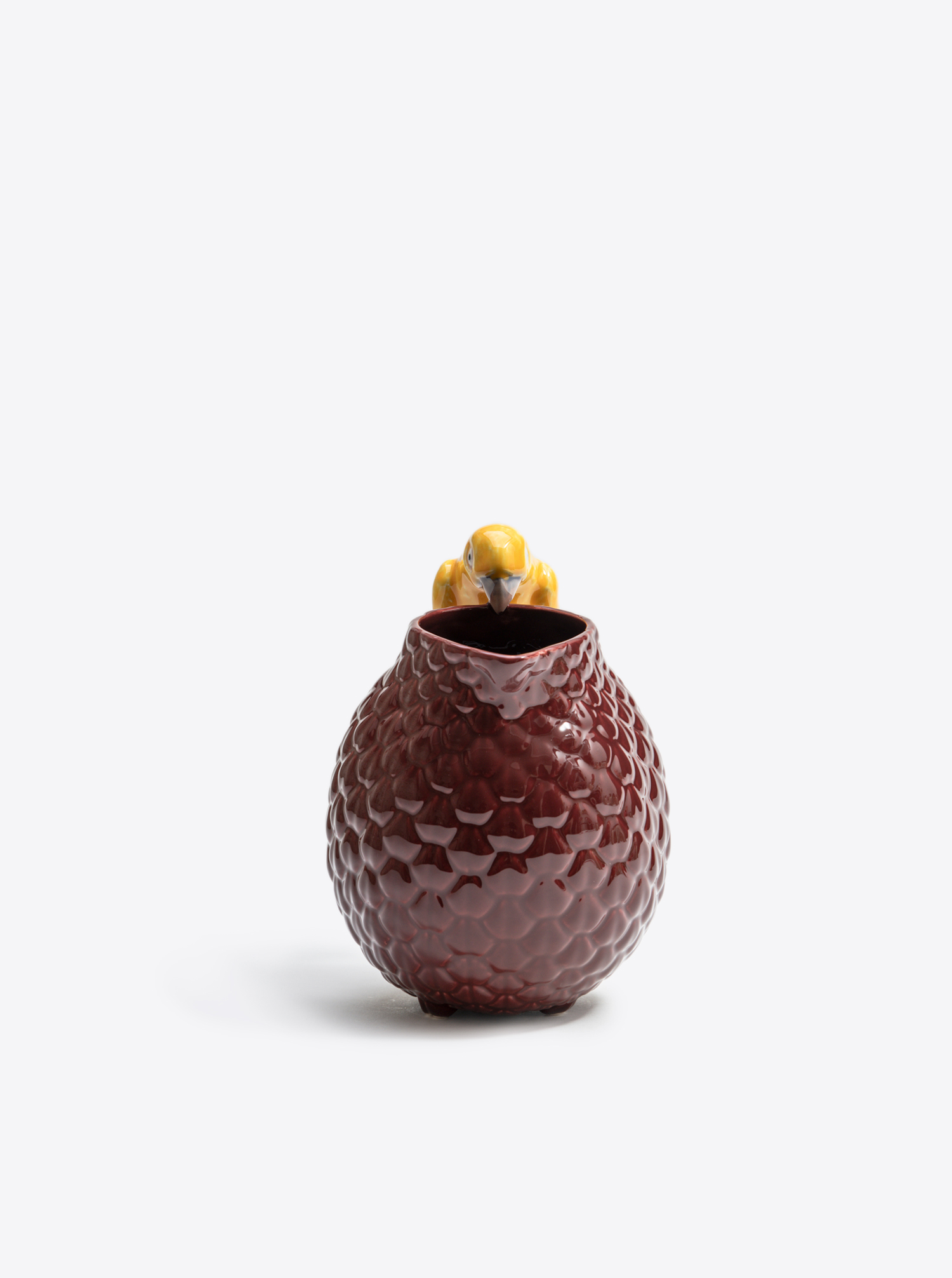 Krug Pitcher &quot;Amazonia&quot;